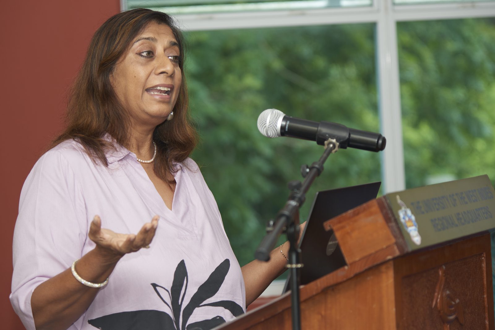 Professor Gunjan Mansingh